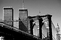 [World Trade Center and Brooklyn Bridge]
