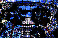[Twin Towers and Palm Trees from inside the Wintergarden]