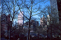 [View of Twin Towers from Battery Park in the Spring]