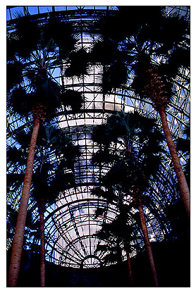 [Wintergarden Palms and World Trade Center - wtc029912.jpg - 93615 Bytes]