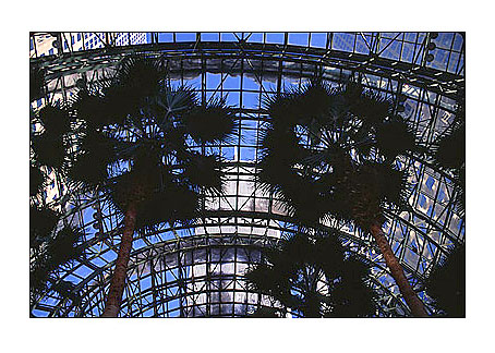 [Twin Towers and Palm Trees from inside the Wintergarden -wtc029913.jpg - 89507 Bytes]