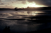 [Sunrise near Mangonui]