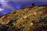 [Sunset near Te Kaha]