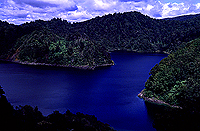 [Sapphire Blue Lake in Lake Waikaremoana Park]