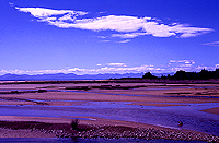 [The Beginning of the Abel Tasman Trek]