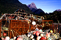[Lobster Traps in Milford Sound]